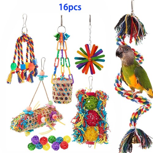 Pack parrot toys - pack,